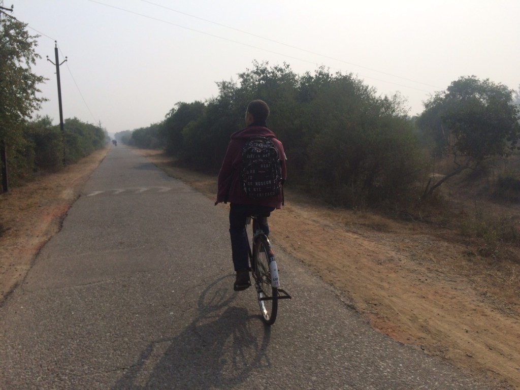 Fietsen in Keoladeo National Park