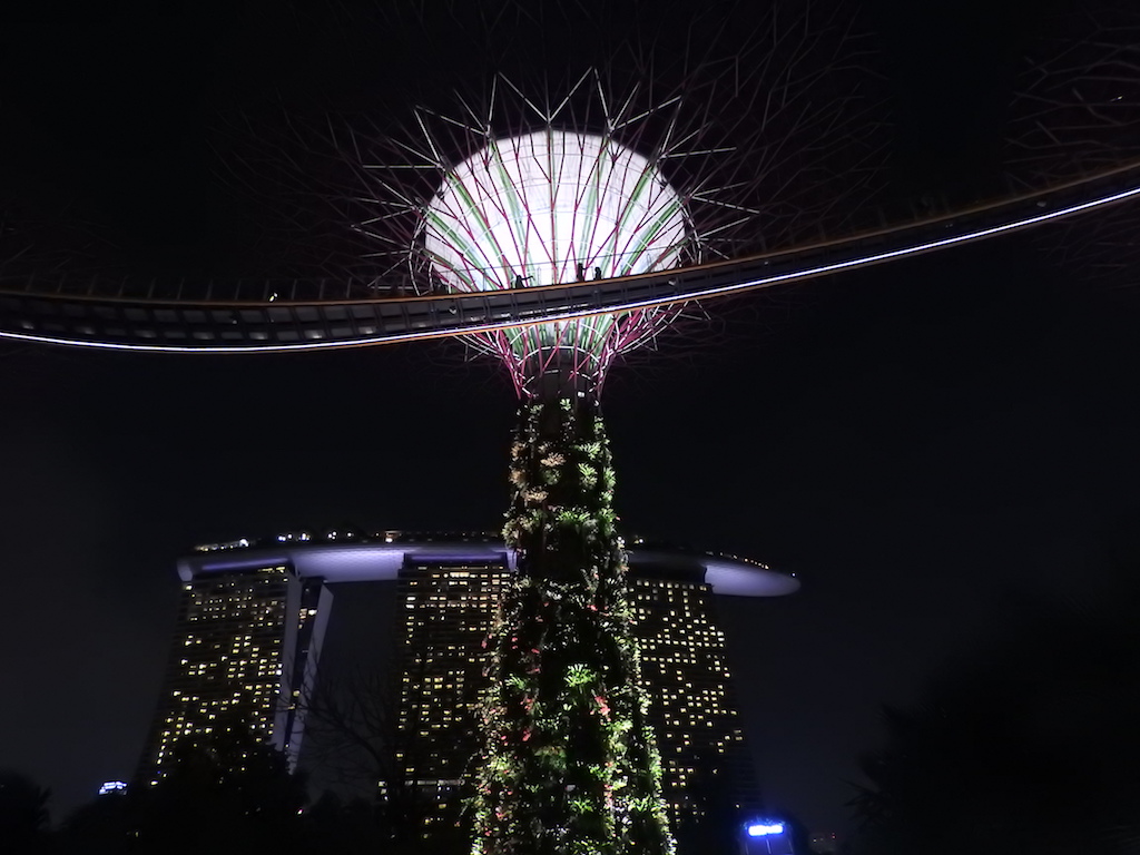 Lichtgevende bomen in Gardens by the Bay