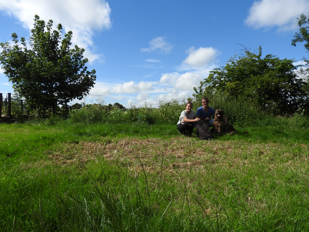 Ann, Manu en de hondjes