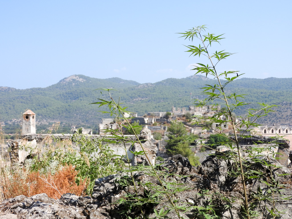 Ruïnes in Kaya Valley