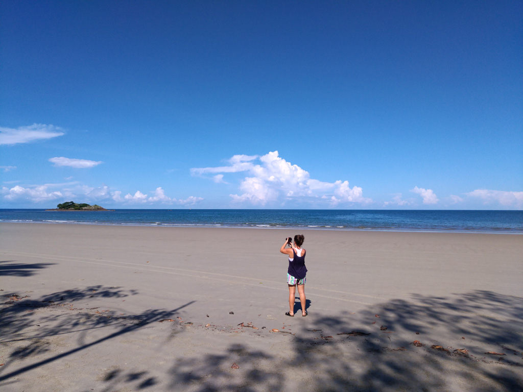 Daintree National Park