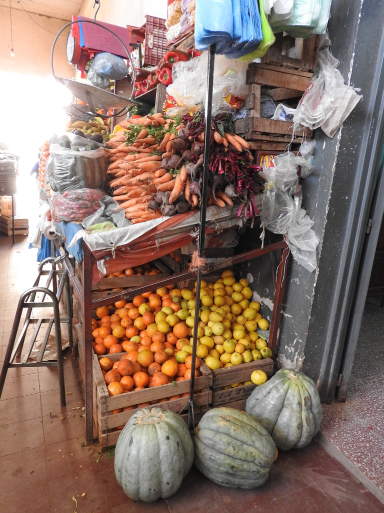 Vele plastic zakjes zijn klaar voor het fruit