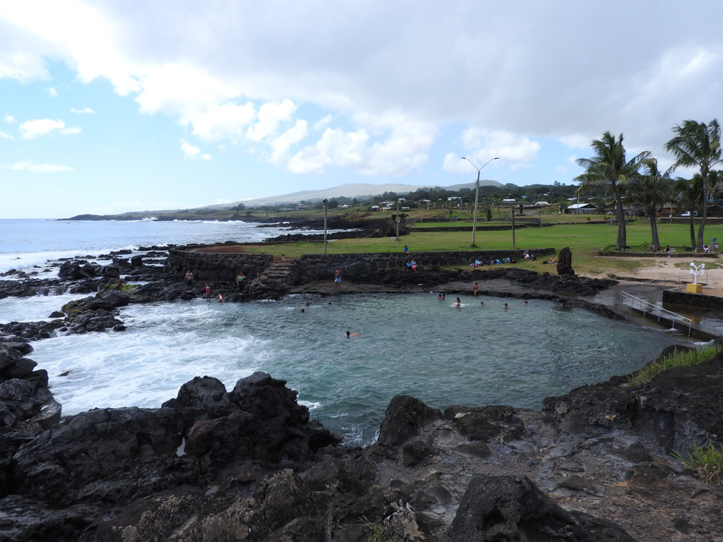 Natural swimming pool