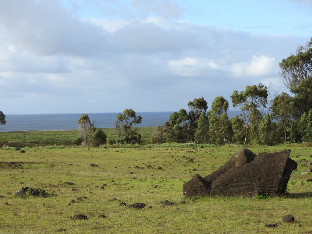 Omgevallen Moai