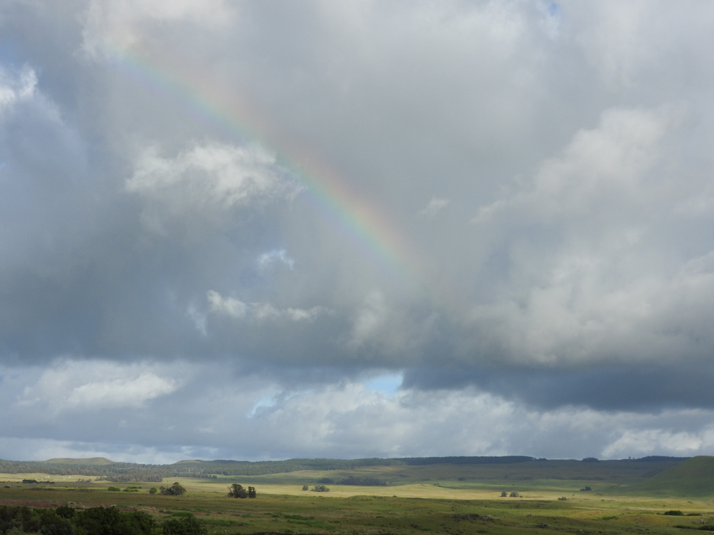 Regenboogje erbij