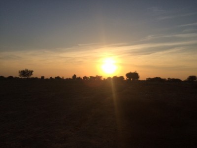 Zonsondergang in de Tar woestijn