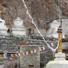 Karsha Monastery1