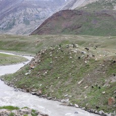 Route naar Zanskar 10