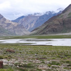 Route naar Zanskar 11