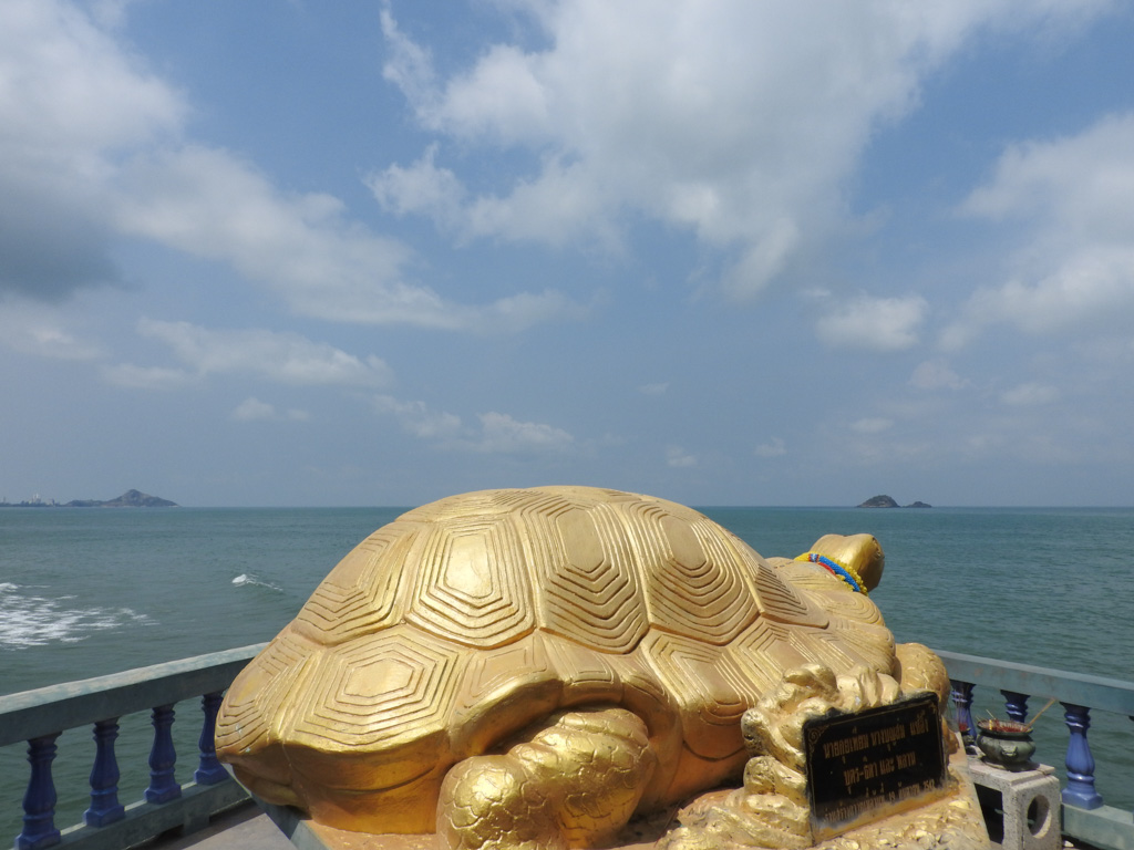 De befaamde schildpad bij Khao Tao