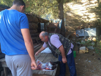 Versgeschoten 'wild boar leg' eten