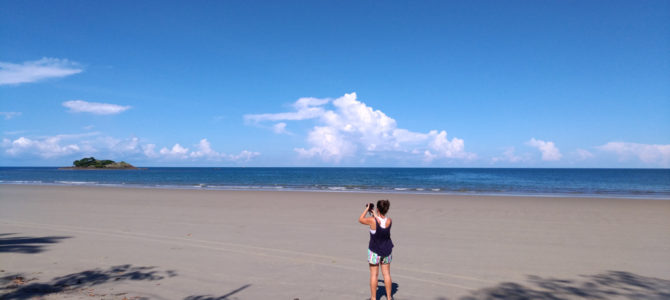 Daintree National Park